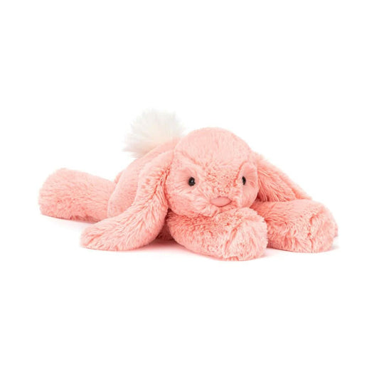 Rabbit Plush Playset – 24 cm